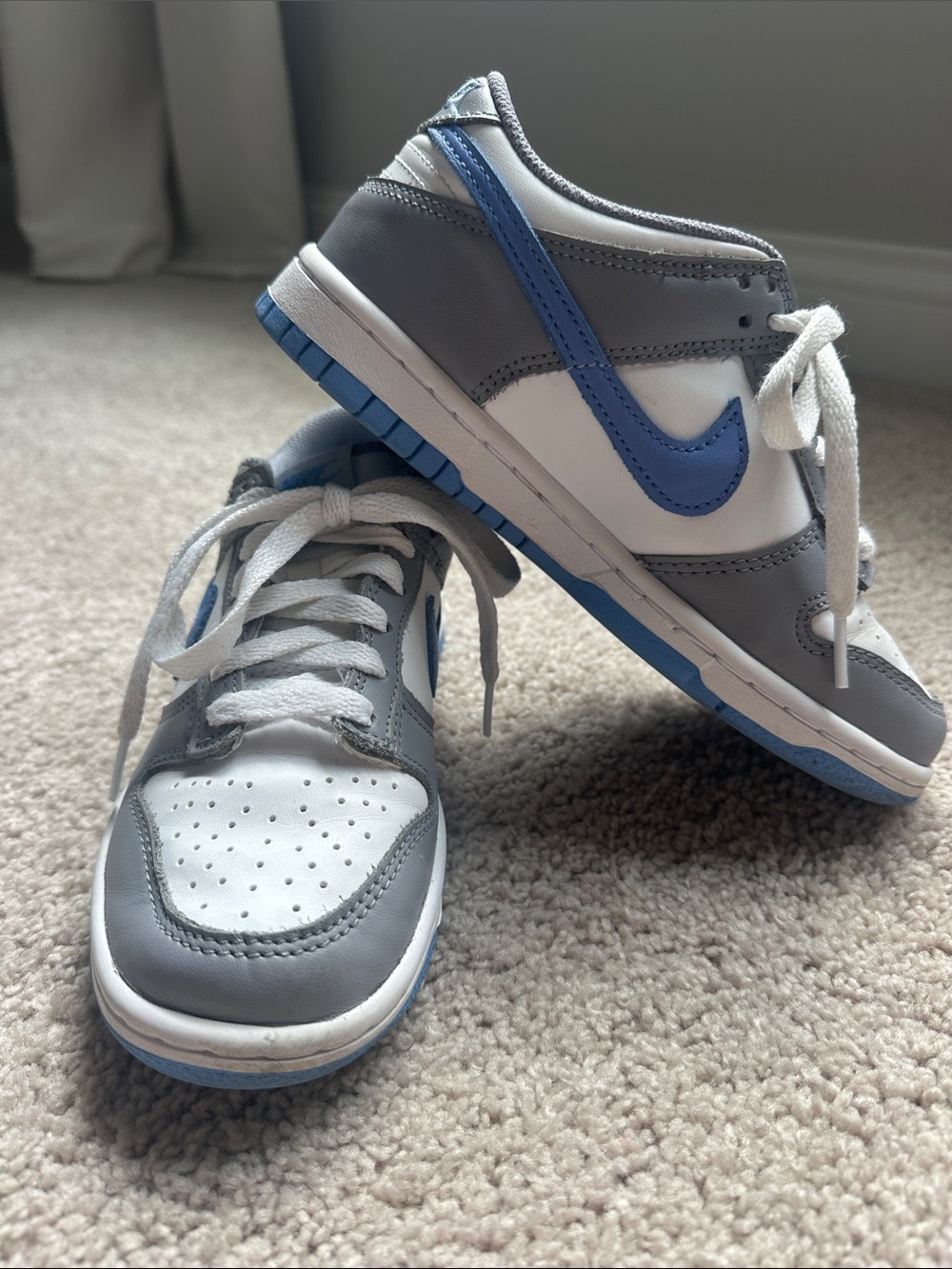 Nike Dunk Low